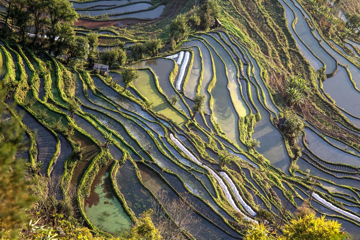 行程美图